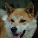 아이편한세상 이미지