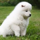 여서동물병원 이미지