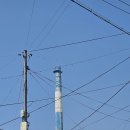 영덕솔향식당 | 영덕 솔향 버섯전골 맛집 후기