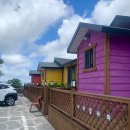 비자림라파 이미지