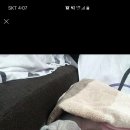 왈츠동물병원 이미지