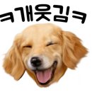폴인독 이미지