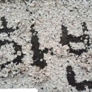 현내1리 이미지