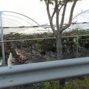 서오산농장 이미지