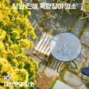 덕산동행정복지센터 | 창원 진해 목향장미 명소 추천｜송학커피·가고파갤러리·보타닉뮤지엄 지금 가기 좋은 4월 봄꽃 코스