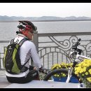 동박새우는집 이미지