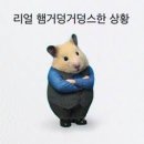 대림상사 이미지