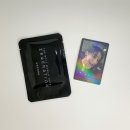 더뉴(the New) 이미지