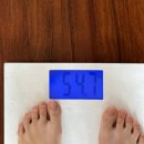 콜레올로지PRO 내돈내산 다이어트 후기_ 다이어트 5주차 후기