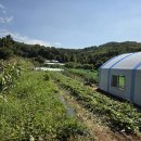 건우 농장 이미지