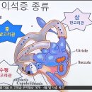 배성천 이미지