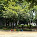 세븐일레븐 대구호산명가점 | 달서구 물놀이터, 강창공원 물놀이장 이용팁
