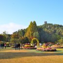 우현우방아이유쉘센트럴 네이버블로그