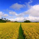 이동원의 가을 편지 이미지