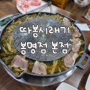 돌쌈 | 대전 봉명동 시래기 차돌박이쌈 맛집 따봉시래기 봉명점 본점