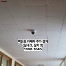 백산초등학교 이미지