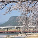 원지강변로 이미지