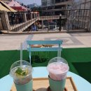 샤인79 이미지