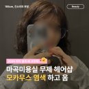 마곡 미용실 무제헤어샵 웜톤 모카무스 염색 후기