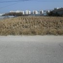 하패1리마을회관 이미지