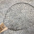 레인보우아웃피터스 이미지