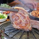 여우싸롱
