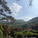 [경기 광주 카페] 화담숲 근처 힐링 카페 ‘우드페커’ | 통창 뷰와 야외 정원이 예쁜 곳