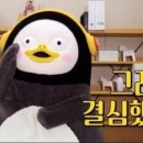 무주아일랜드 이미지