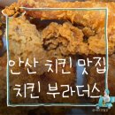상록수환경 | 안산 치킨 맛집 치킨부라더스 안산상록수점 포장 반반치킨 후기
