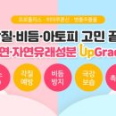 샴푸스토리 이미지