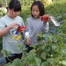 함께하는 농장 이미지