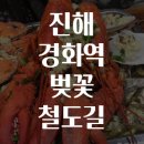 진해 경화역 벚꽃 철도길