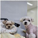 시화유치원 이미지