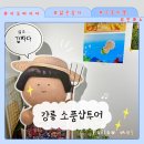 [강릉] 강릉 뚜벅이 소품샵투어 코스추천_자모파자마,삶은감자,안뽀뇨,르봉마젤