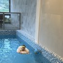 엘담스테이 이미지