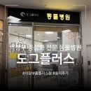 의정부 도그플러스 동물병원 | 2살 토이푸들 암컷 중성화 수술 후기 | 금오동 홈플러스 | 몽구 동생 빙고