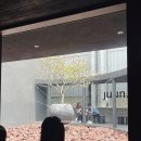 지도에 없는 펠트커피 도산공원점