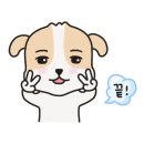모모동물병원 이미지