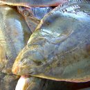 참가자미나라 이미지