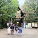 자유랜드 | 에버랜드 자유이용권 가격, 예약 추석 오픈런 후기