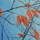 애월화실 이미지