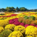 용대관광지2 이미지