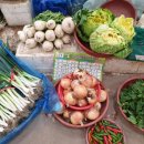 강진 오감통 이미지