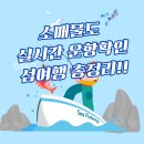 통영 소매물도 배시간표, 배 예약, 실시간 운항확인 5분 안에 끝내기