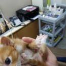 페토브 동물병원 이미지