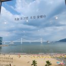 도그민 | 부산 광안리 애견동반카페 도그민 내돈내산솔직 후기 – 오션뷰힐링