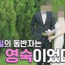 영철농장 이미지