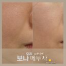 그린 | 보나메두사 프라이머 그린 후기 나비존 모공 커버 기대했는데 솔직히