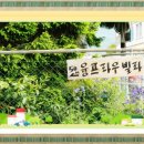 대초제 이미지