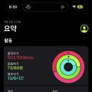 원영볼트 | 내가 가장 사랑하는 빈에서, 잊을 수 없는 4일간의 기록 𓇬𓈒𓇽